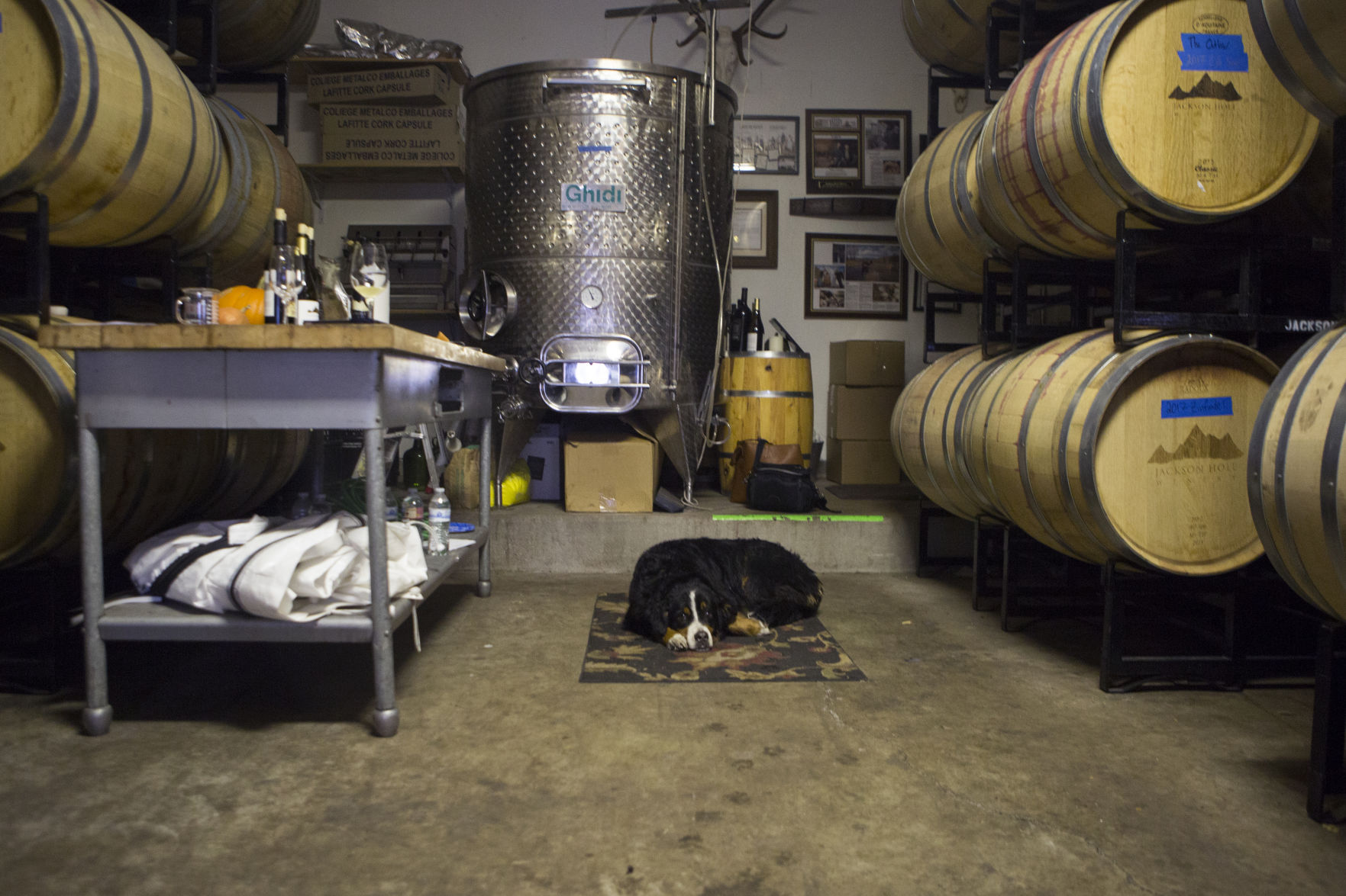 Jackson Hole Winery